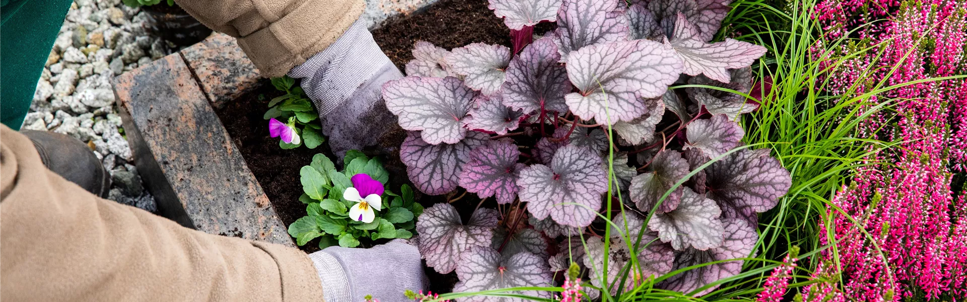 Grabgestaltung - Grab bepflanzen