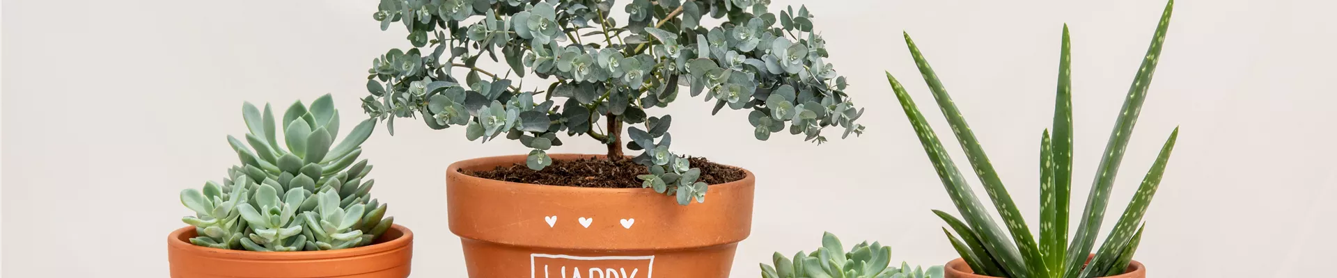 Muttertag - Bepflanzte Töpfe mit Aufschrift