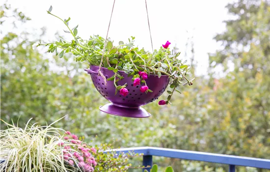 Die schönsten DIY Ideen für den Balkon entdecken