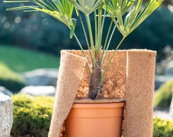 Den Garten winterfest machen