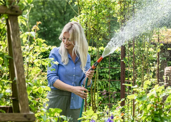Gartenarbeit im Juni: Tipps und Tricks für einen blühenden Garten