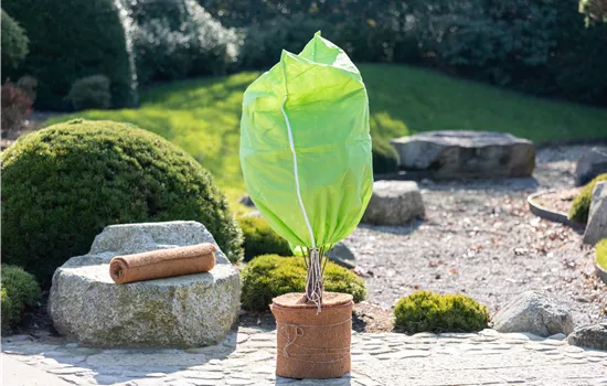 Gartenarbeit im Dezember – Hier ist mehr los als gedacht