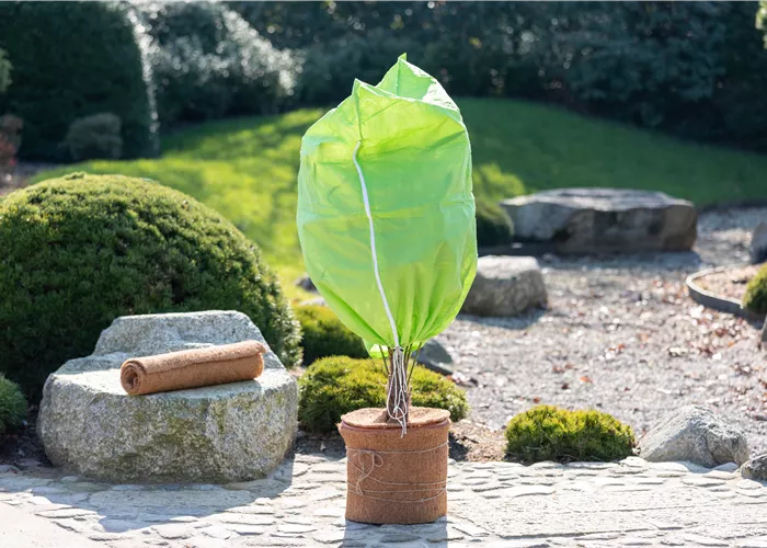 Gartenarbeit im Dezember – Hier ist mehr los als gedacht