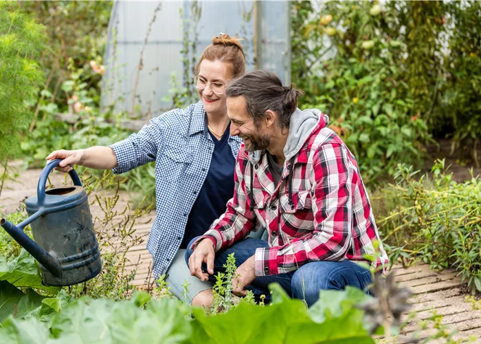 Der ultimative Gartenkalender für alle Gartenfreunde