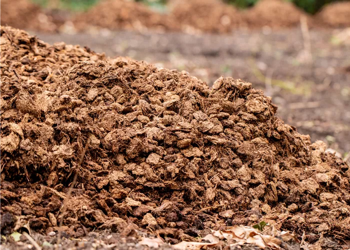 Mulchen leicht gemacht – mit unseren 10 Tipps