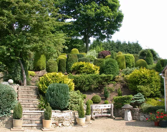 Die Koniferen überzeugen durch ihre eindrucksvolle Vielfalt