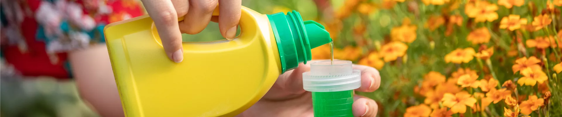 Dünger - Zitrusdünger