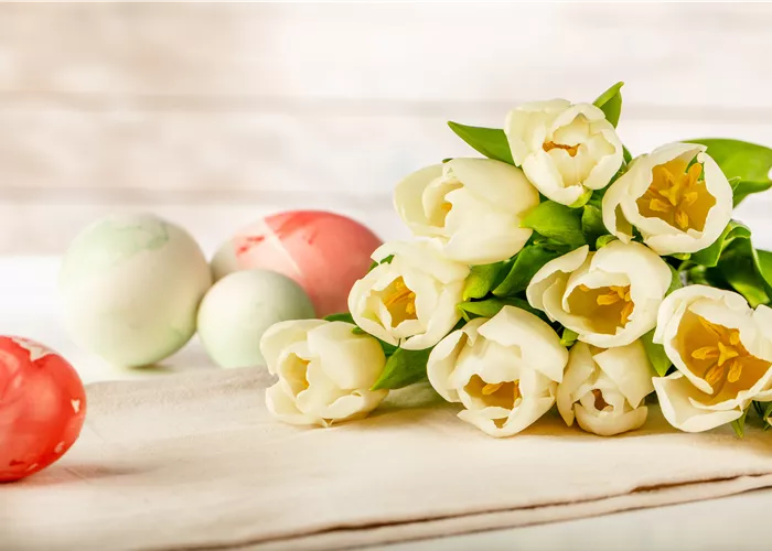 Die schönsten Blumen zu Ostern entdecken