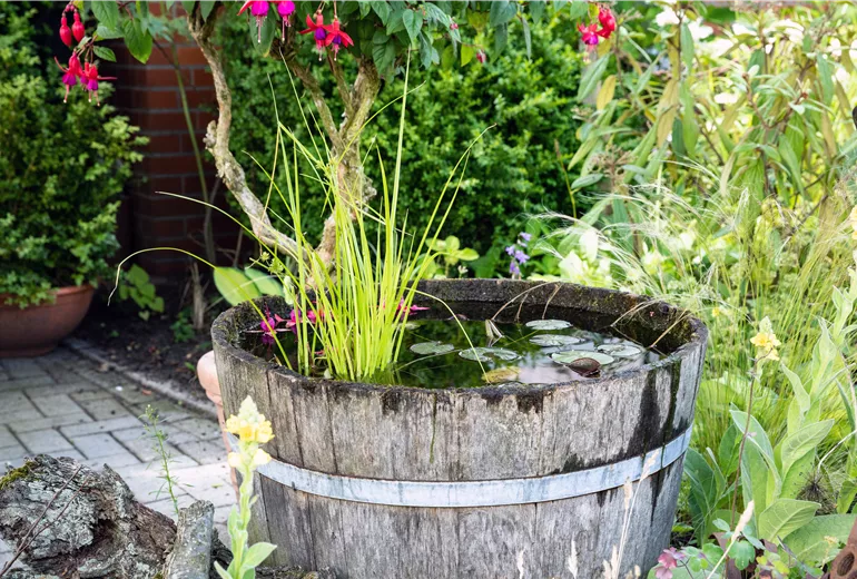 Miniaturteich im Garten