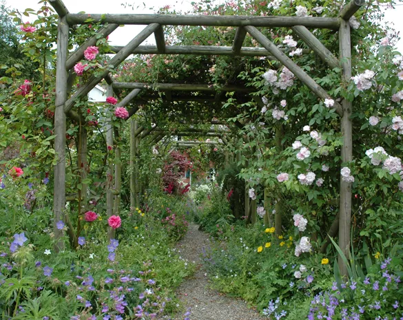 Die richtige Wahl von Rankhilfen für Kletterpflanzen