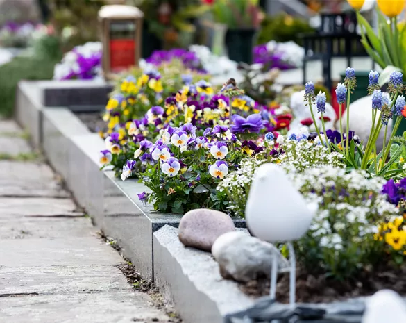 Eine ganzjährige Grabbepflanzung für ein stilvolles Andenken