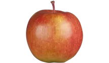 Apfel