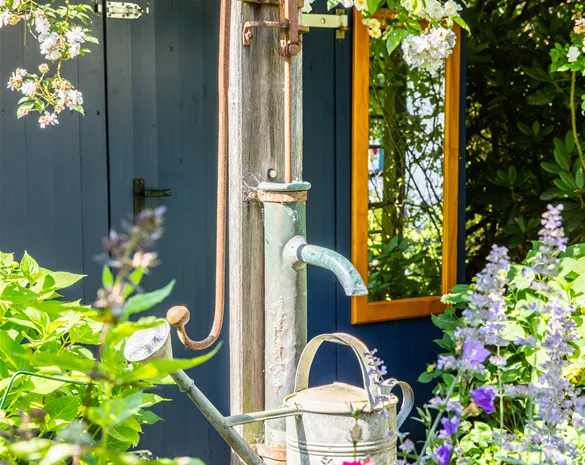 So einfach kann die Gartengestaltung mit Gartenpflanzen sein