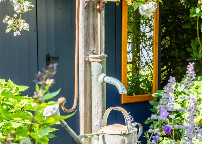 So einfach kann die Gartengestaltung mit Gartenpflanzen sein