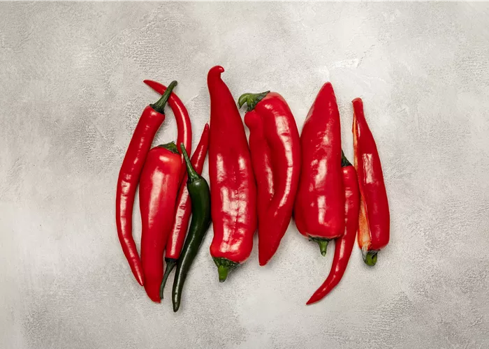 Paprika selber anbauen – Tipps für Anzucht und Ernte